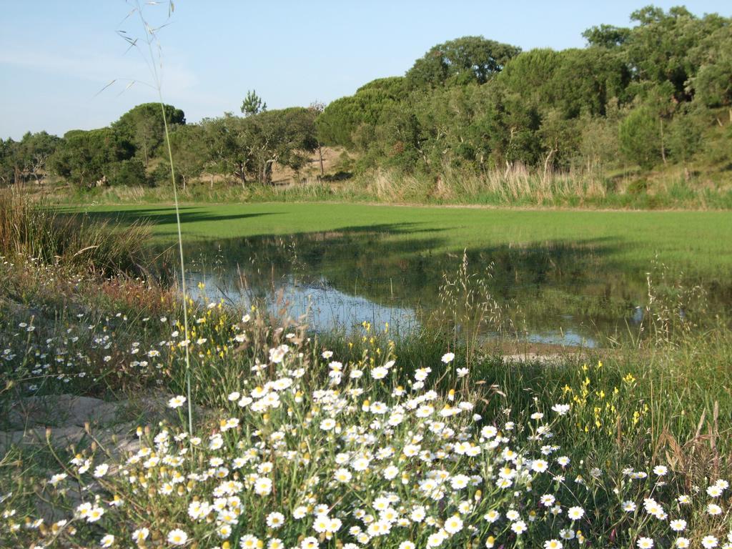 Herdades Da Ameira - Monte Do Arrozal Alcácer do Sal Szoba fotó