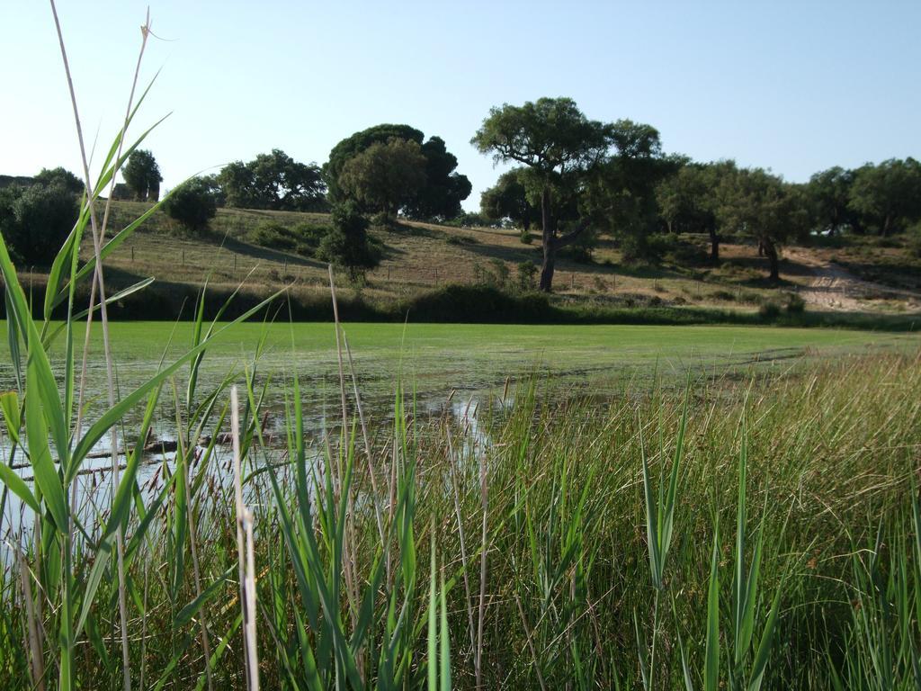 Herdades Da Ameira - Monte Do Arrozal Alcácer do Sal Szoba fotó